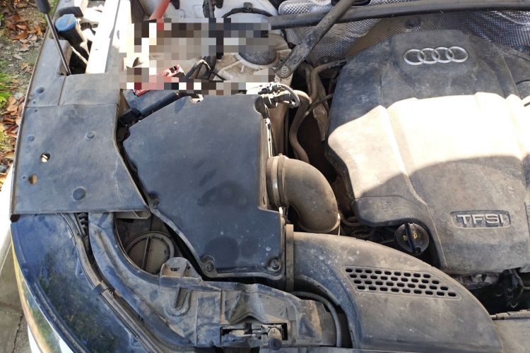 Used Audi Q5L 2020 40 TFSI Prestige Edition Engine Bay Right
