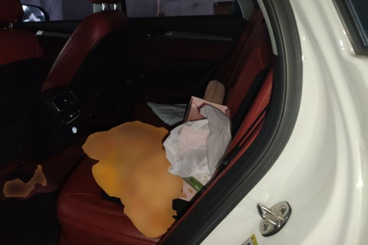 Used Audi Q5L 2020 40 TFSI Prestige Edition Left Rear Seat
