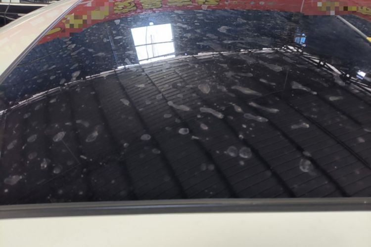 Used Audi Q5L 2020 Revised 40 TFSI Prestige Edition Roof