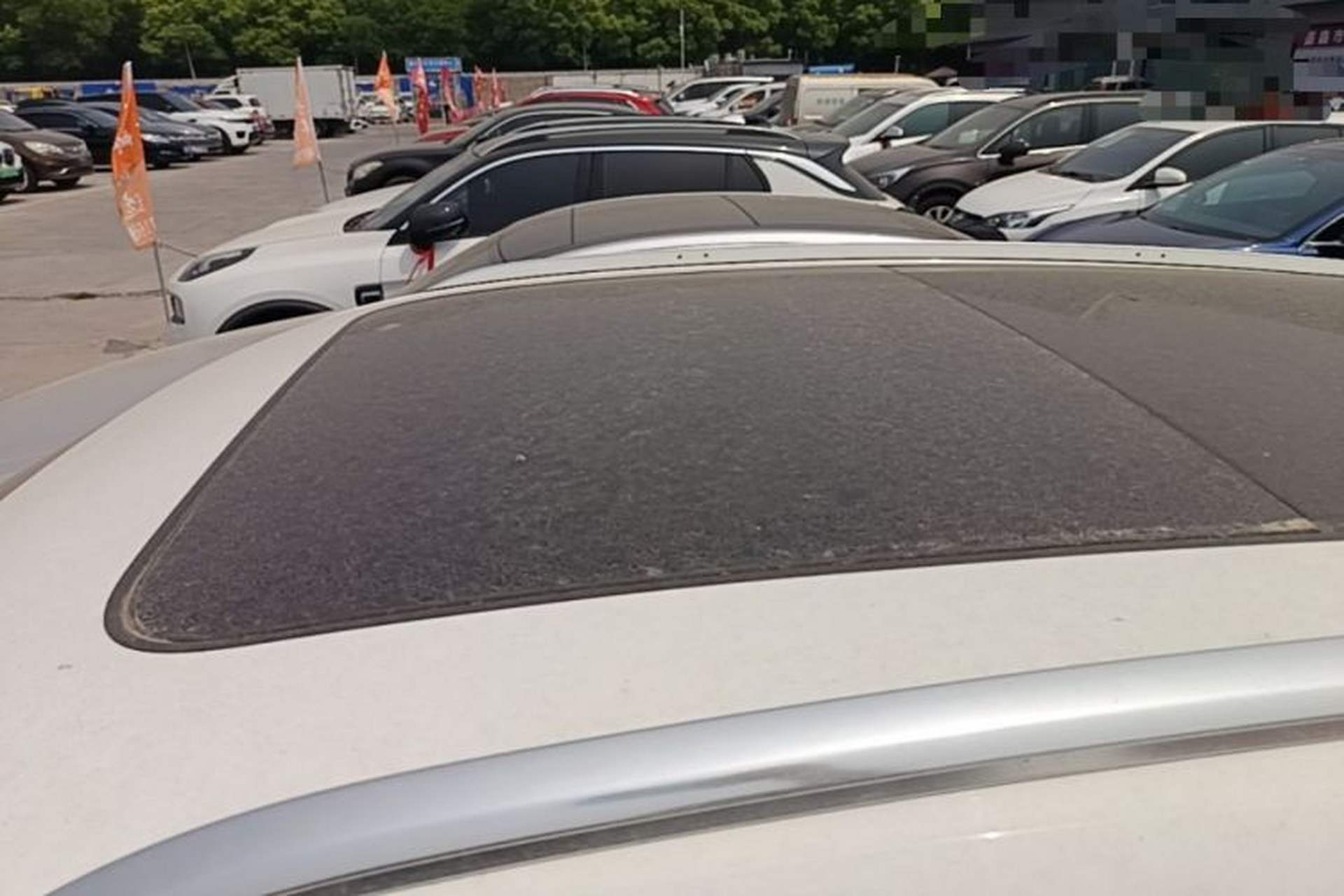 Used Audi Q5L 2020 45 TFSI Prestige Fashion Model Roof