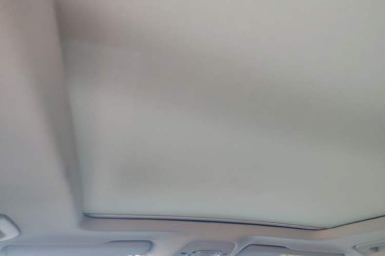 Used Audi Q5L 2021 40 TFSI Fashion Dynamic Model Headliner
