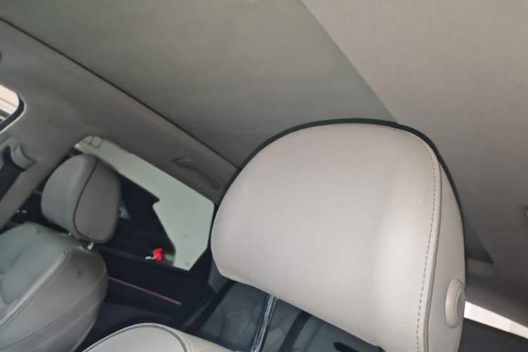 Used Audi Q5L 2021 40 TFSI Luxury Dynamic Edition Headliner