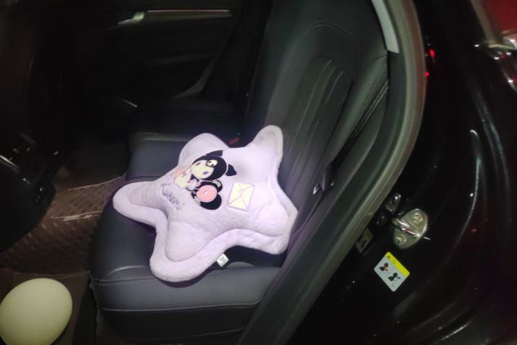 Used Audi Q5L 2021 40 TFSI Luxury Prestige Edition Left Rear Seat