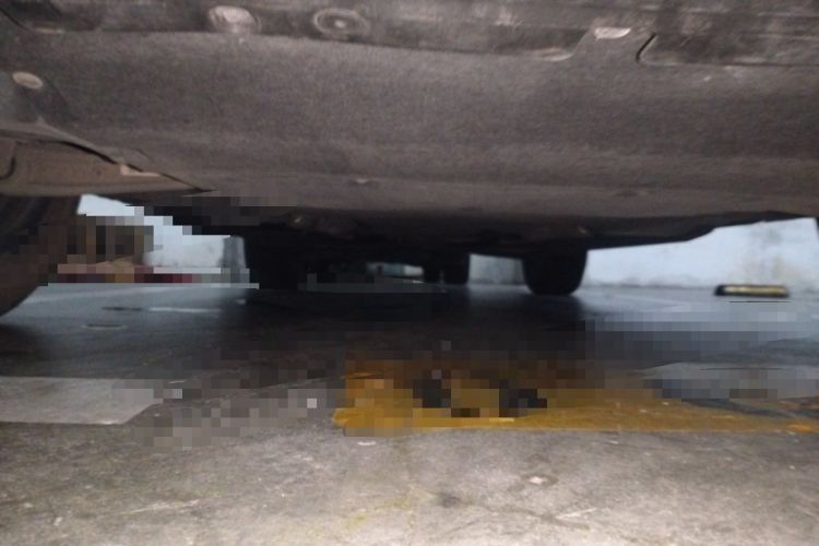 Used Audi Q5L 2021 40 TFSI Fashion Dynamic Model Chassis Front