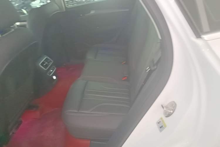 Used Audi Q5L 2021 45 TFSI Luxury Dynamic Edition Left Rear Seat