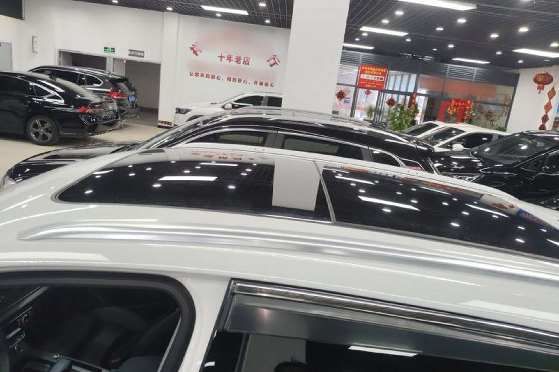 Used Audi Q5L 2021 40 TFSI Luxury Dynamic Edition Roof