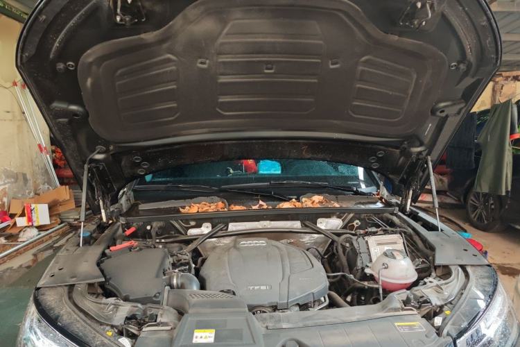 Used Audi Q5L 2022 Updated 40T Luxury Dynamic Edition Engine Bay