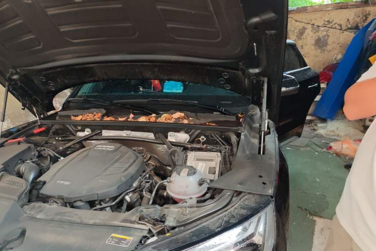 Used Audi Q5L 2022 Updated 40T Luxury Dynamic Edition Engine Bay Left