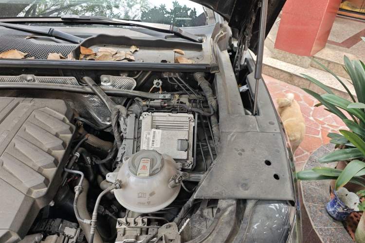 Used Audi Q5L 2022 40T Fashionable and Dynamic Model Engine Bay Left