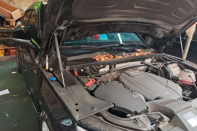 Used Audi Q5L 2022 Updated 40T Luxury Dynamic Edition Engine Bay Right