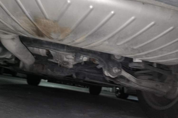 Used Audi Q5L 2022 40T Luxury Dynamic Model Chassis Rear