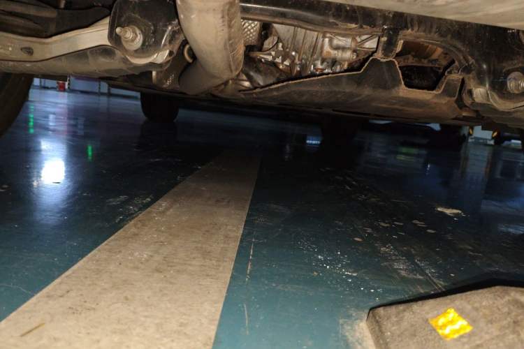 Used Audi Q5L 2023 40T Luxury Dynamic Model Chassis Rear