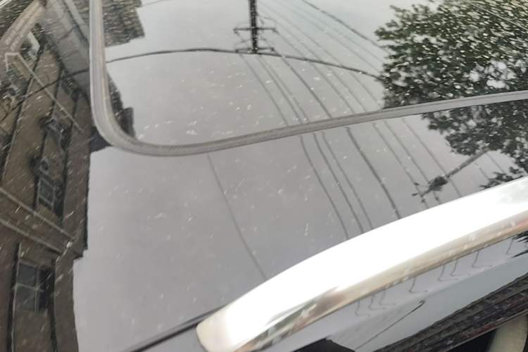 Used Audi Q5L 2023 40T Luxury Elegant Model Roof