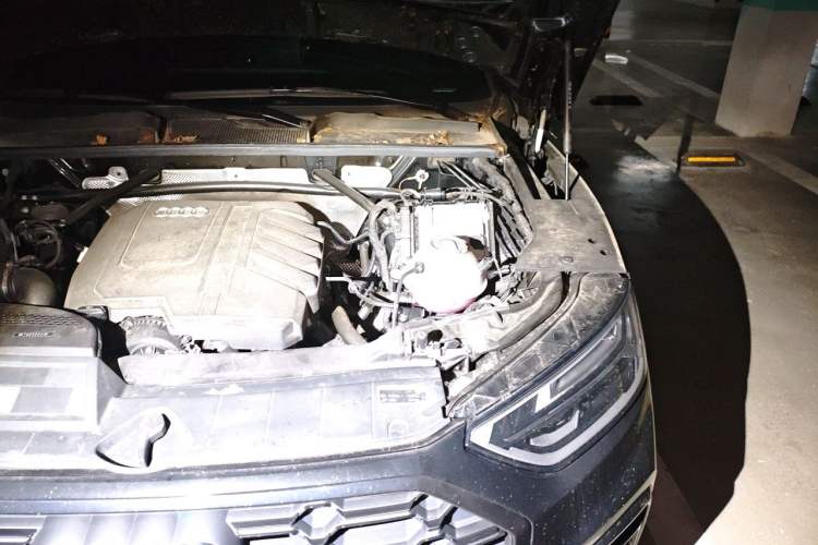 Used Audi Q5L 2024 40 TFSI Luxury Dynamic Edition Engine Bay Left