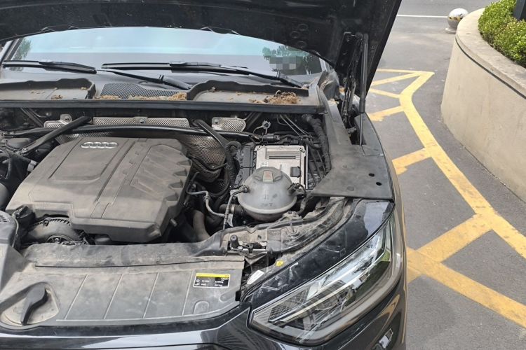 Used Audi Q5L 2024 40 TFSI Luxury Dynamic Edition Engine Bay Left