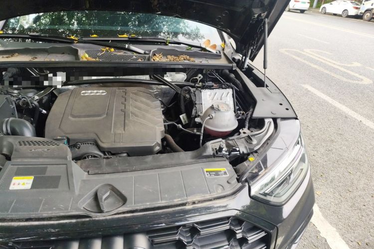 Used Audi Q5L 2024 45 TFSI Luxury Dynamic Model Engine Bay Left
