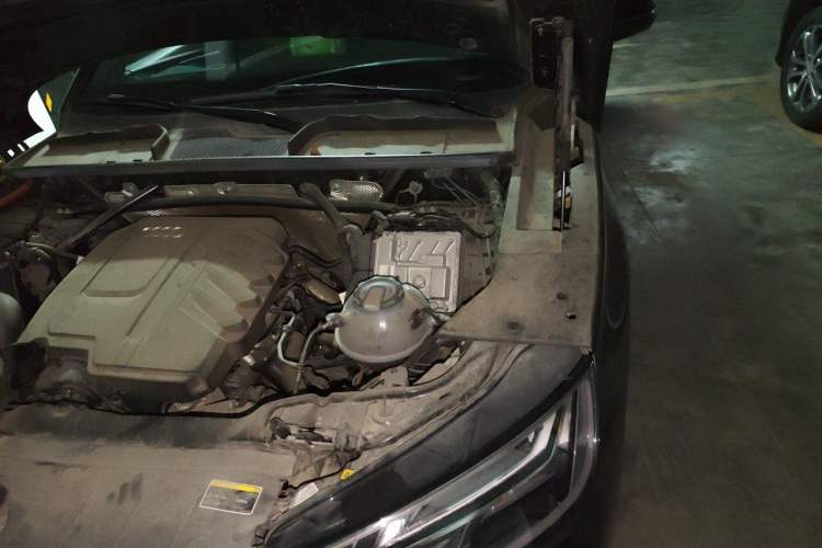 Used Audi Q5L 2024 45 TFSI Luxury Dynamic Model Engine Bay Left