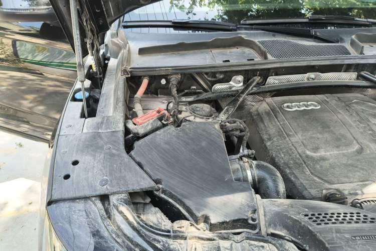 Used Audi Q5L 2024 40 TFSI Luxury Dynamic Edition Engine Bay Right