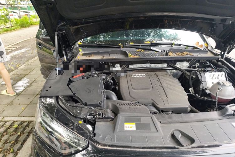 Used Audi Q5L 2024 45 TFSI Luxury Dynamic Model Engine Bay Right