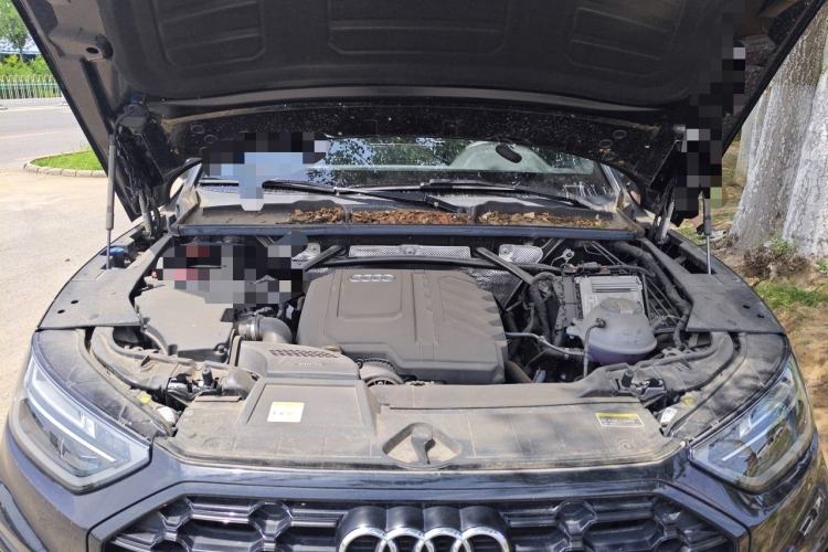 Used Audi Q5L 2024 40 TFSI Luxury Dynamic Edition Engine Bay