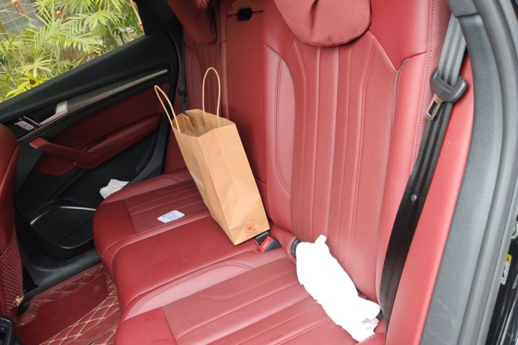 Used Audi Q5L 2024 40 TFSI Luxury Dynamic Edition Left Rear Seat