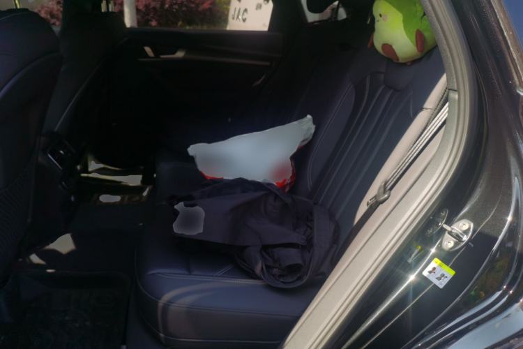 Used Audi Q5L 2024 40 TFSI Luxury Dynamic Edition Left Rear Seat