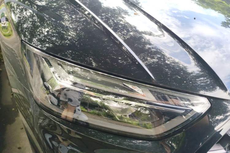 Used Audi Q5L 2024 45 TFSI Luxury Dynamic Model Right Front Headlight