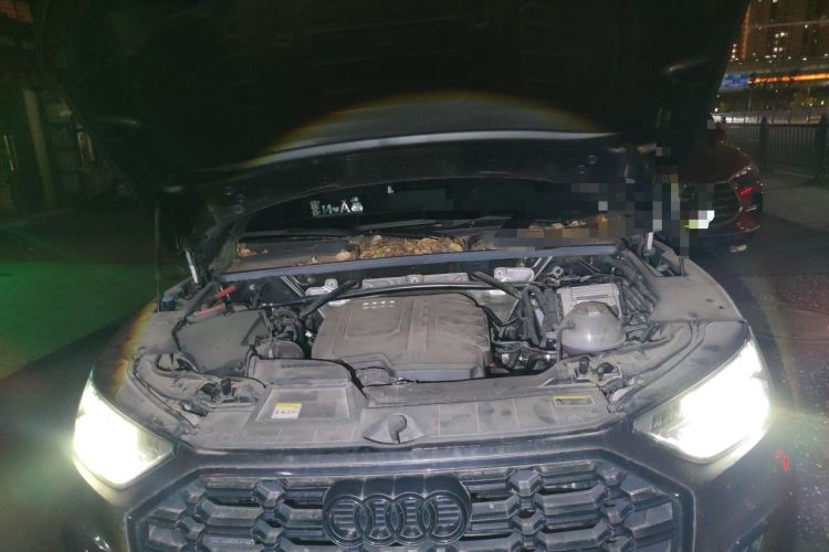 Used Audi Q5L 2024 40 TFSI Luxury Dynamic Edition Engine Bay