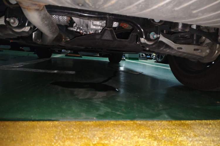 Used Audi Q5L 2025 40 TFSI Fashionable and Dynamic Edition Chassis Rear