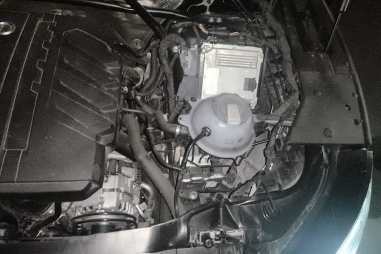 Used Audi Q5L 2025 quattro 45th Anniversary Edition 40 TFSI Luxury Dynamic Model Engine Bay Left