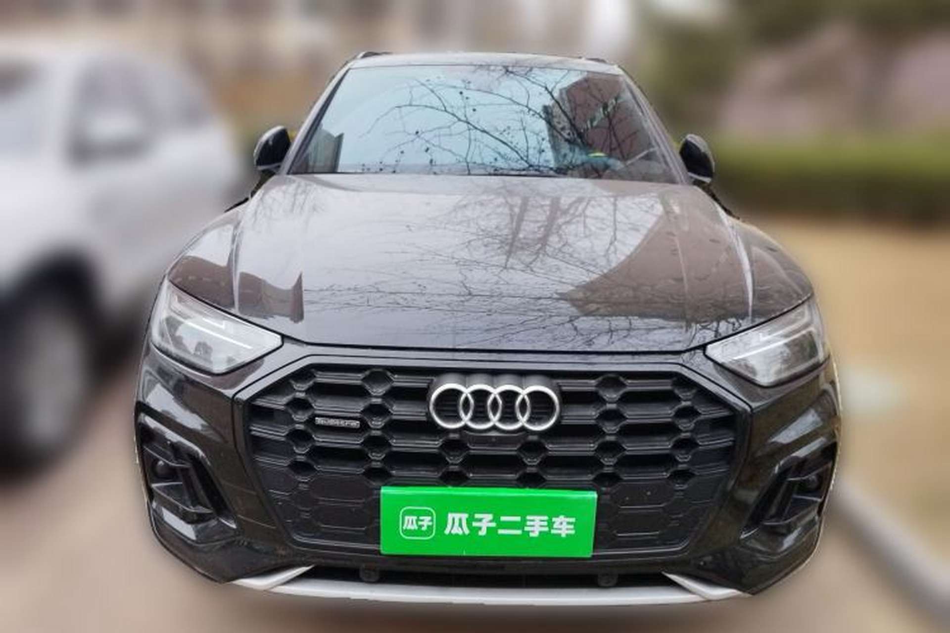 Used Audi Q5L 2025 45 TFSI Luxury Dynamic Edition Front