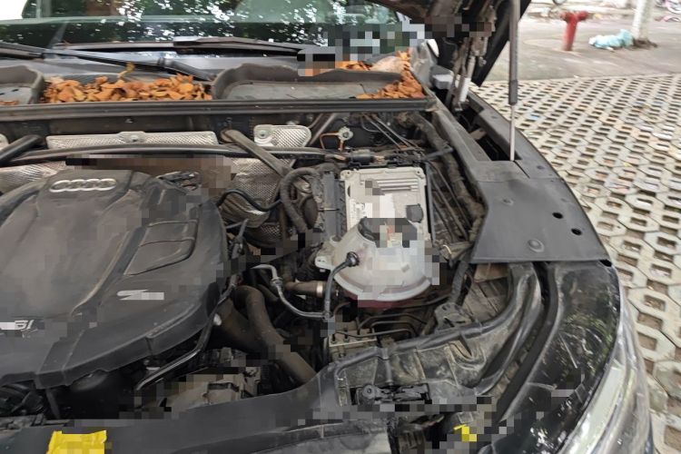 Used Audi Q5L Sportback 2021 40 TFSI Enjoy Life Edition Engine Bay Left