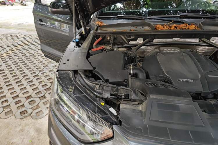 Used Audi Q5L Sportback 2021 40 TFSI Enjoy Life Edition Engine Bay Right