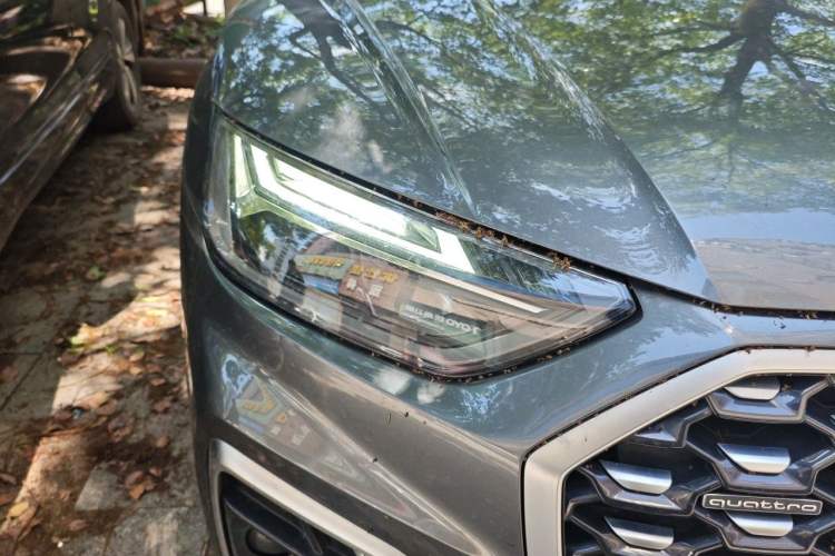 Used Audi Q5L Sportback 2021 40 TFSI Luxury Edition Right Front Headlight