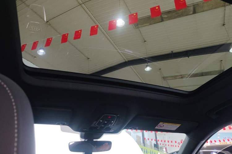 Used Audi Q5L Sportback 2021 40 TFSI Luxury Edition Headliner