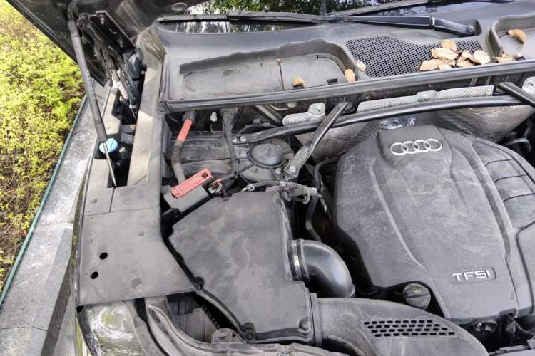 Used Audi Q5L Sportback 2022 45 TFSI Luxury Model Engine Bay Right