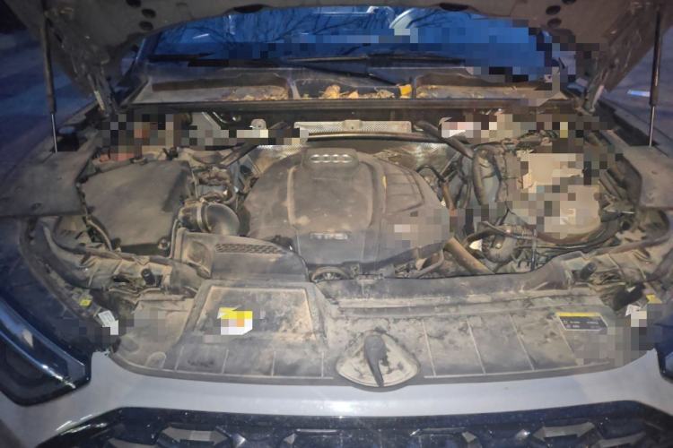 Used Audi Q5L Sportback 2022 40 TFSI Luxury Model Engine Bay