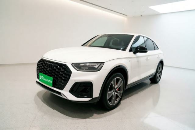Audi Q5L Sportback 2023 40 TFSI Luxury Model usata
