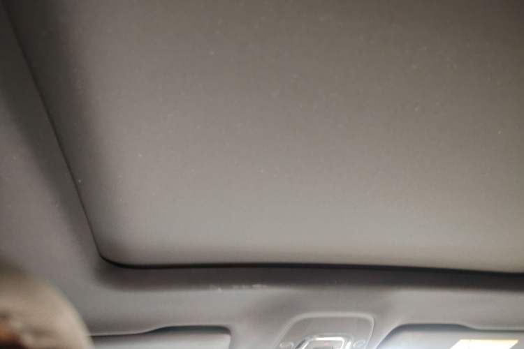 Used Audi Q5L Sportback 2024 40 TFSI Luxury Edition Headliner