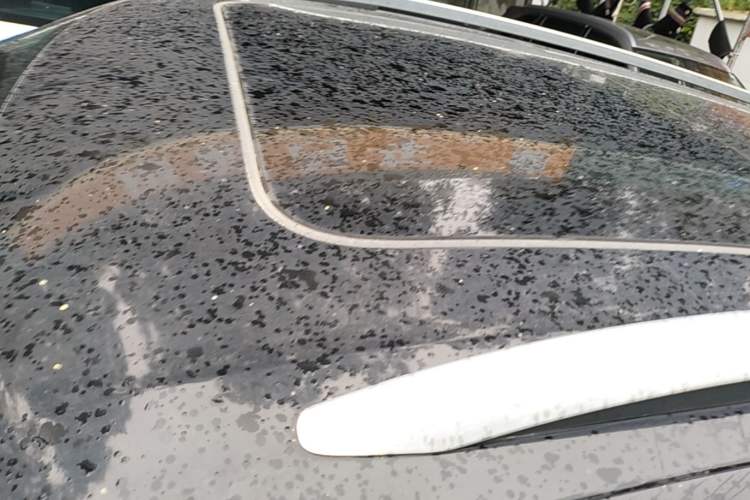 Used Audi Q6 2023 45 TFSI quattro Qiyun Edition Yulin Package Roof