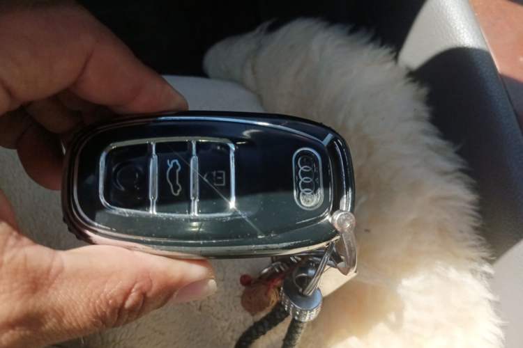 Used Audi Q7 2011 3.0 TFSI Ambition (200kW) Vehicle Key