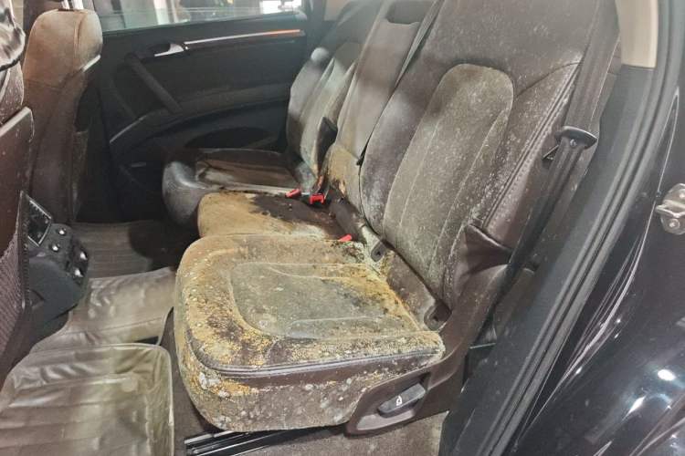 Used Audi Q7 2012 3.0 TFSI Technology (245kW) Left Rear Seat