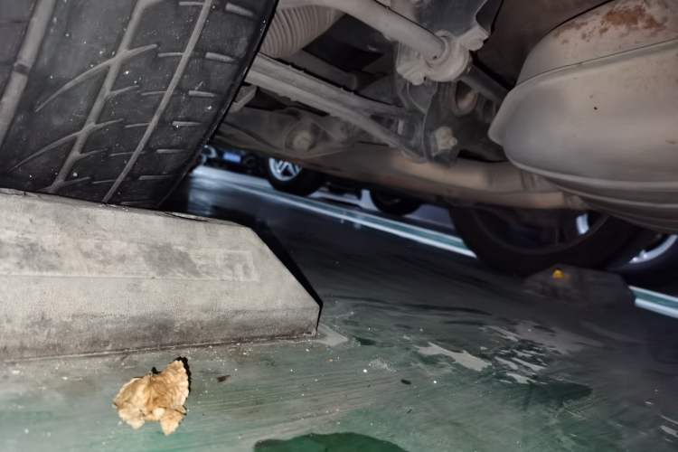 Used Audi Q7 2014 35 TFSI Off-road Model Chassis Rear Left