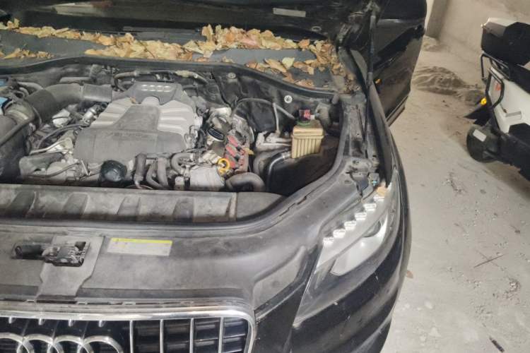 Used Audi Q7 2014 35 TFSI Sport Edition Engine Bay Left