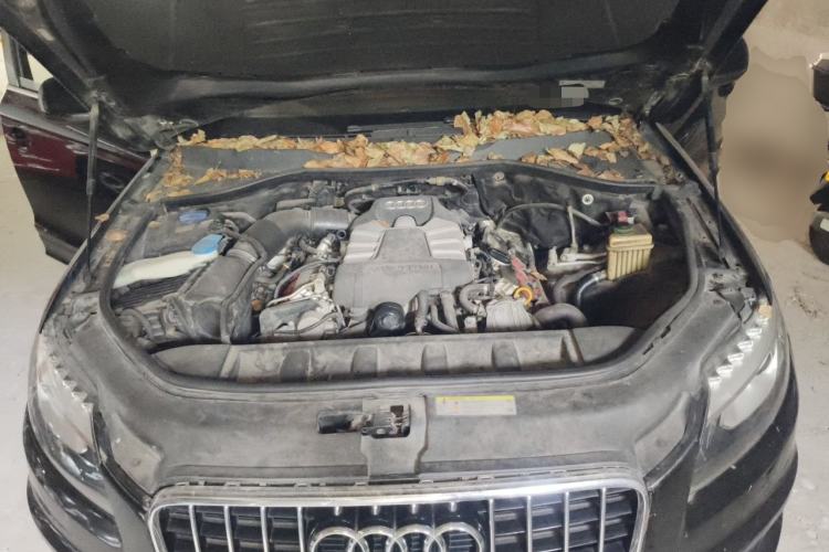 Used Audi Q7 2014 35 TFSI Sport Edition Engine Bay