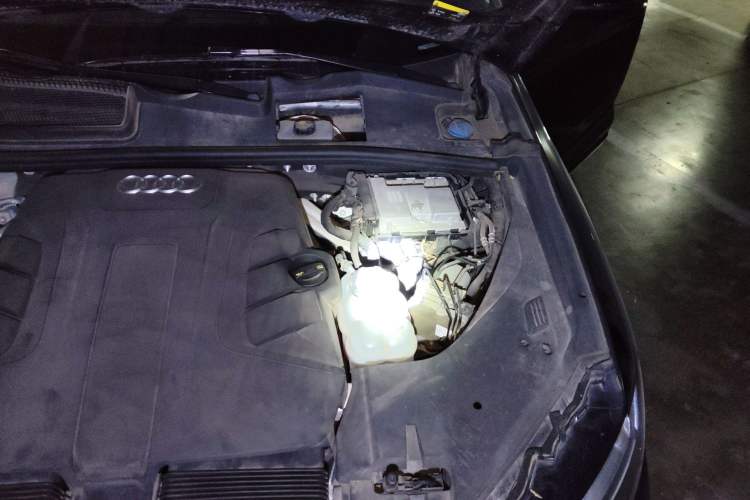 Used Audi Q7 2019 55 TFSI Technology Edition Engine Bay Left