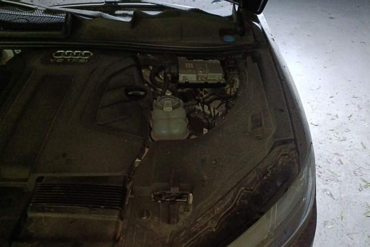 Used Audi Q7 2019 55 TFSI Technology Edition Engine Bay Left