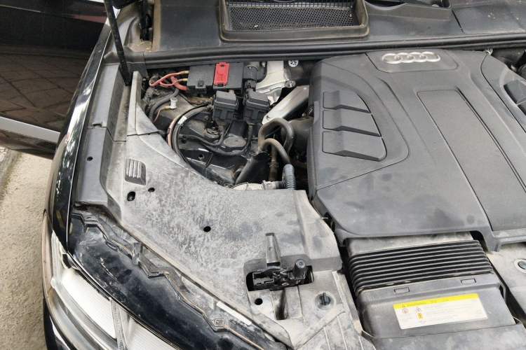 Used Audi Q7 2019 55 TFSI Technology Edition Engine Bay Right