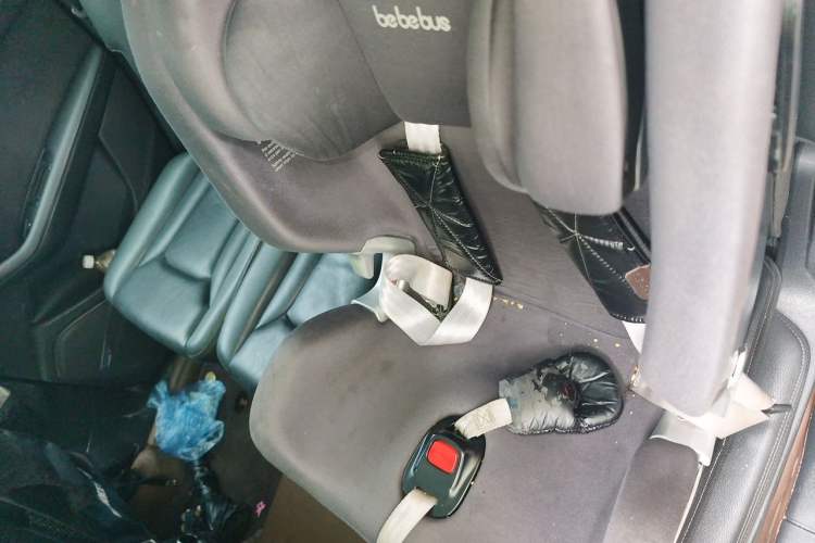 Used Audi Q7 2019 55 TFSI Technology Edition Left Rear Seat