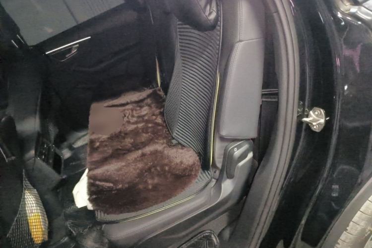 Used Audi Q7 2020 55 TFSI quattro Black Warrior Exclusive Edition Left Rear Seat
